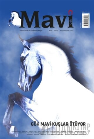 Mavi Gök Kültür Sanat Edebiyat Dergisi Sayı: 1 Mayıs - Haziran 2021