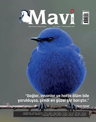 Mavi Gök Kültür Sanat Edebiyat Dergisi Sayı: 8 Temmuz - Ağustos 2022