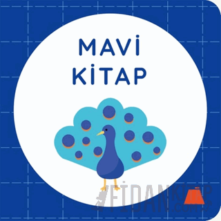 Mavi Kitap (Ciltli)