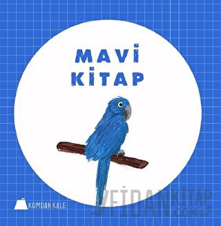 Mavi Kitap Işıl Erverdi