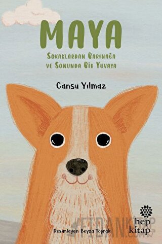 Maya - Sokaklardan Barınağa ve Sonunda Bir Yuvaya
