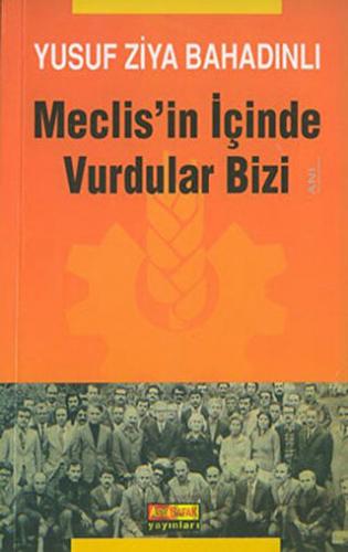 Meclis'in İçinde Vurdular Bizi