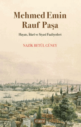 Mehmed Emin Rauf Paşa Hayatı, İdarî ve Siyasî Faaliyetleri