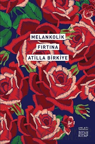 Melankolik Fırtına Atilla Birkiye