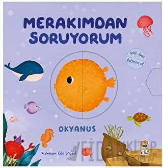 Merakımdan Soruyorum - Okyanus