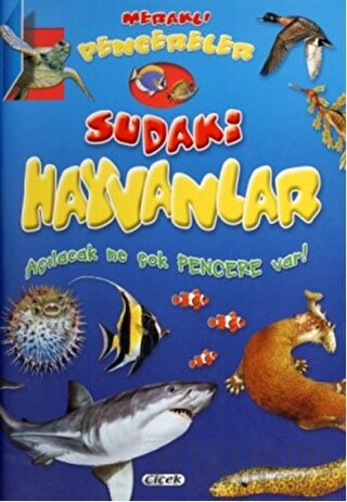 Meraklı Pencereler - Sudaki Hayvanlar Kolektif