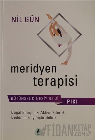 Meridyen Terapisi