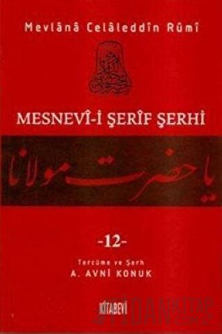 Mesnevi-i Şerif Şerhi Cilt: 12