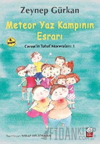 Meteor Yaz Kampının Esrarı