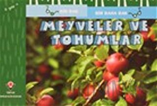 Meyveler ve Tohumlar - Bir Bak Bir Daha Bak David M. Schwartz