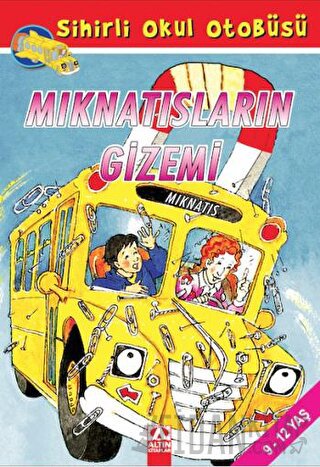 Mıknatısların Gizemi