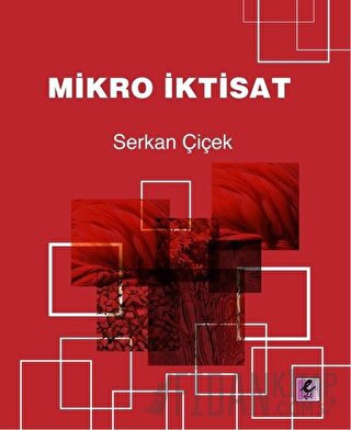 Mikro İktisat