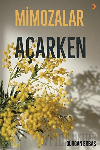 Mimozalar Açarken
