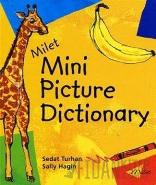 Mini Picture Dictionary Sally Hagin