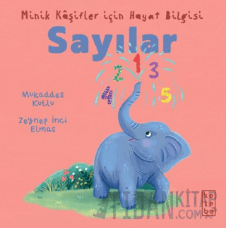 Minik Kâşifler için Hayat Bilgisi - Sayılar