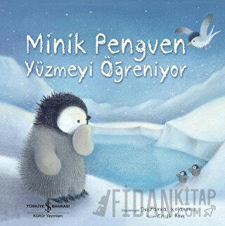Minik Penguen Yüzmeyi Öğreniyor