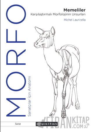 Morfo Memeliler Karşılaştırmalı Morfolojinin Unsurları