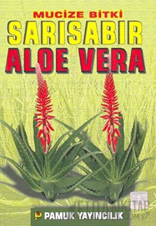 Mucize Bitki Sarı Sabır Aloe Vera (Bitki-017)