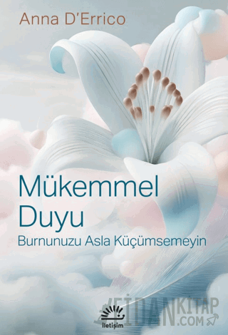 Mükemmel Duyu