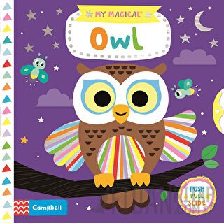 My Magical Owl