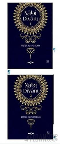 Nabi Divanı (2 Kitap Takım)