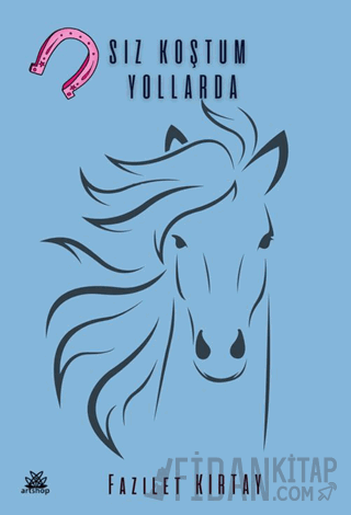 Nalsız Koştum Yollarda