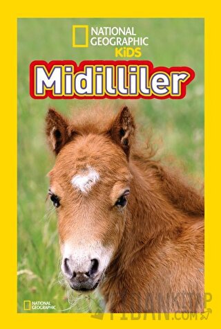 National Geographic Kids Midilliler (Ciltli)