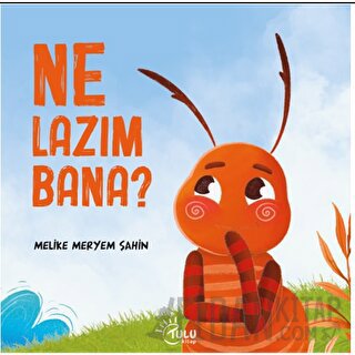 Ne Lazım Bana