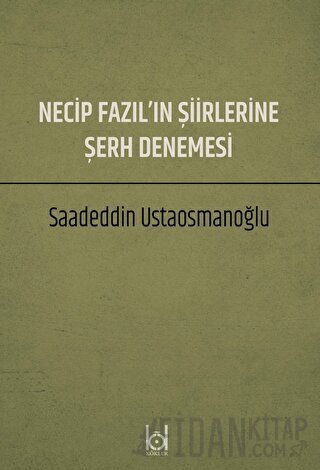 Necip Fazıl'ın Şiirlerine Şerh Denemesi
