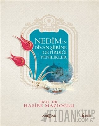 Nedim’in Divan Şiirine Getirdiği Yenilikler