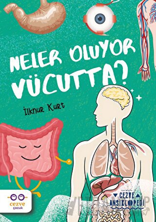 Neler Oluyor Vücutta? – Cezve Ansiklopedi