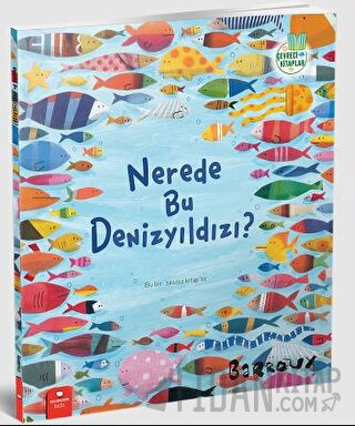 Nerede Bu Denizyıldızı?