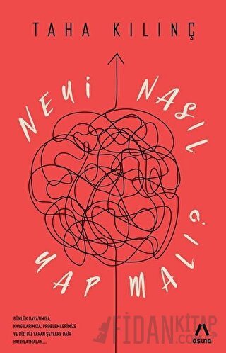 Neyi Nasıl Yapmalı? Taha Kılınç