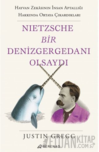 Nietzsche Bir Denizgergedanı Olsaydı