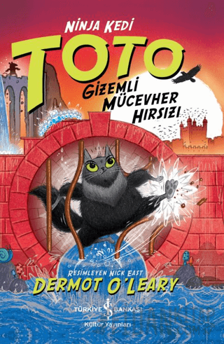 Ninja Kedi Toto - Gizemli Mücevher Hırsızı