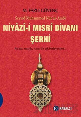 Niyazi-i Mısri Divanı Şerhi