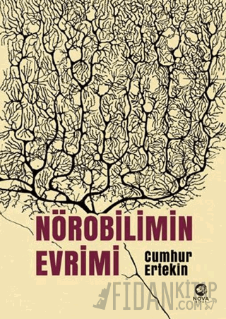 Nörobilimin Evrimi