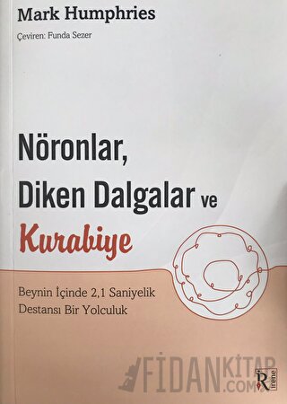 Nöronlar, Diken Dalgalar ve Kurabiye