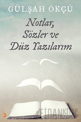 Notlar, Sözler ve Düz Yazılarım