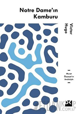 Notre Dame'ın Kamburu