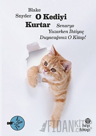 O Kediyi Kurtar: Senaryo Yazarken İhtiyaç Duyacağınız O Kitap!