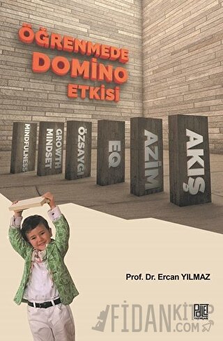 Öğrenmede Domino Etkisi