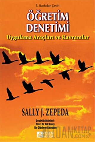 Öğretim Denetimi