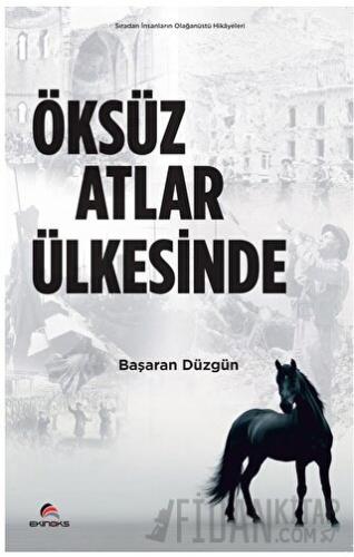 Öksüz Atlar Ülkesinde