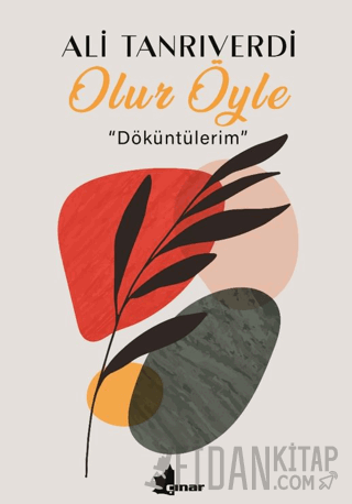 Olur Öyle