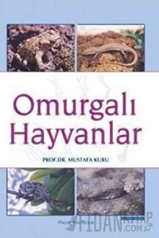 Omurgalı Hayvanlar