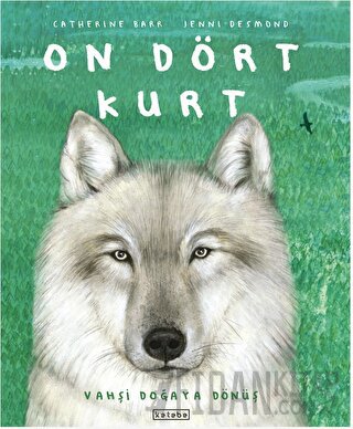 On Dört Kurt (Ciltli)