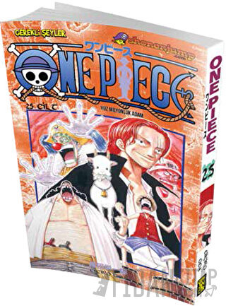 One Piece 25. Cilt