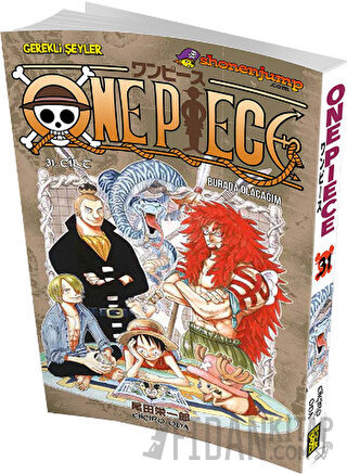 One Piece 31. Cilt