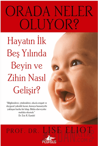 Orada Neler Oluyor Lise Eliot